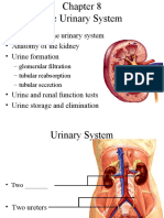 Functions of The Urinary System - Anatomy of The Kidney - Urine Formation