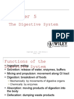 The Digestive System: Sons, Inc
