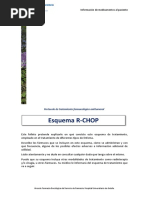 Protocolo de Quimioterapia R-CHOP | PDF | Relaciones personales ...