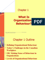 (A) What Is Organizational Behavior
