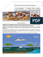 376828779-CICLOS-BIOGEOQUIMICOS