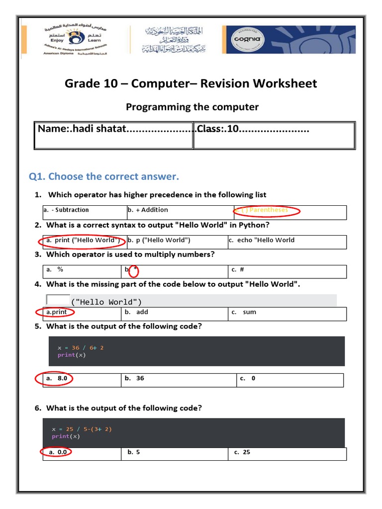 Grade 10 - Computer - Revision Worksheet | PDF