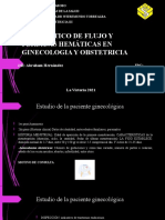 Diagnostico de Flujo y Perdidas Hemáticas en Ginecologia