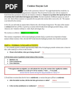 Enzyme Activity Lab: Catalase Effects | PDF | Catalase | Enzyme
