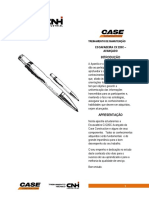 Workbook Escavadeira Cx 220c –Avançado_v1