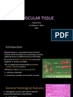 Muscle Tissue