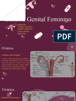 Aparelho reprodutor feminino de serpente, evidenciando os ovários