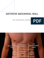 Anterior Abdominal Wall