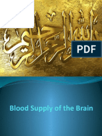 Blood Supply of The Brain
