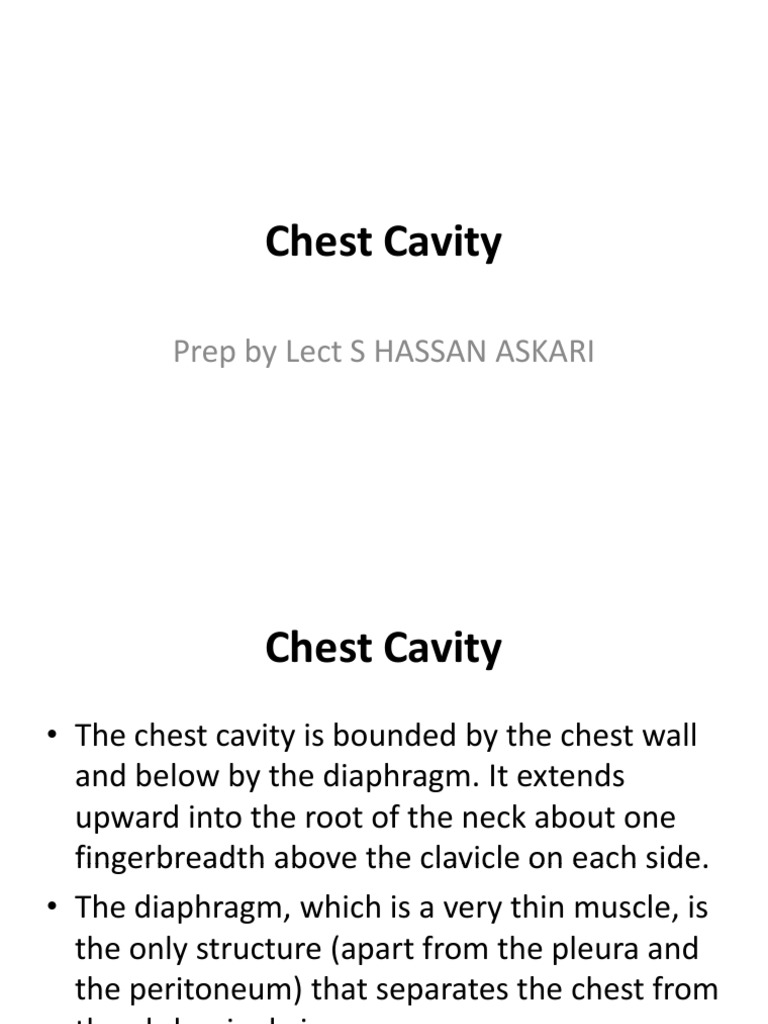 Chest Cavity. | PDF | Thorax | Neck