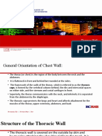 Orientation of Thoracic Wall.