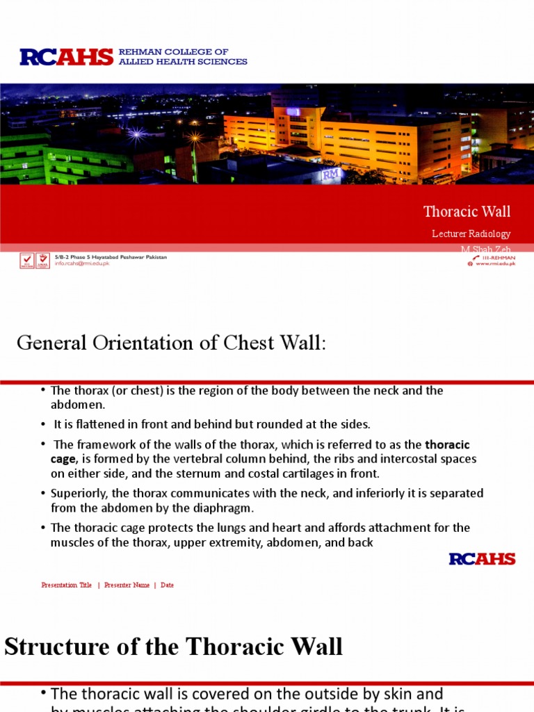 Anatomy of the Thoracic Wall | PDF | Thorax | Thorax (Human Anatomy)