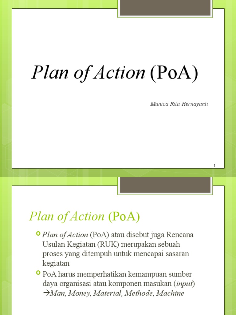8 Plan of Action | PDF