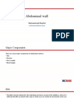 Abdominal Wall.