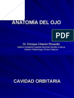 Anatomía Ojo-Usamedic 2011