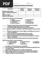 Cell Transport Worksheet g8