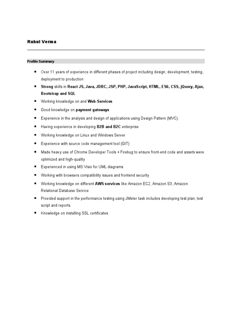 Senior Software Developer Profile | PDF