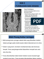 Bab 2 Jaringan Tumbuhan Dan Hewan