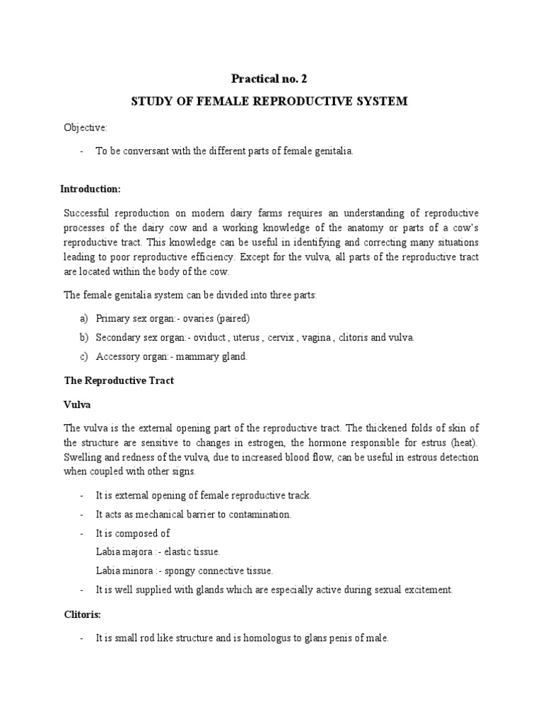 Study of the Female Reproductive System | PDF | Uterus | Ovary