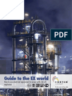 Guide To The Ex World CORTEM Group