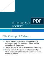 Culture and Society 4