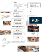 Flujograma RCP Neonatal