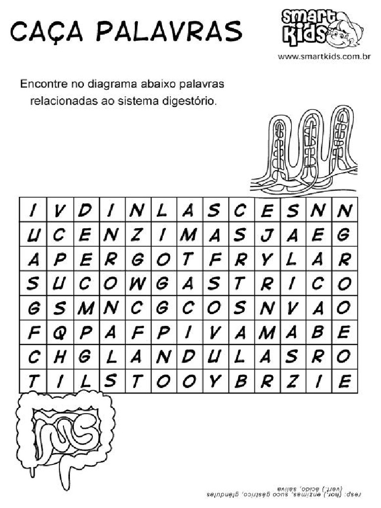Sistema Digestorio Caca-Palavras | PDF