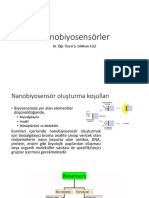 Nanobiyosensörler