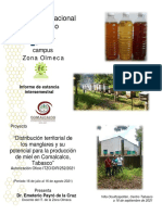Informe Final de Estancia Intersemestral en Comalcalco 2021