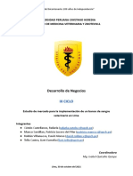 Informe técnico N° 2 Definitive Edition