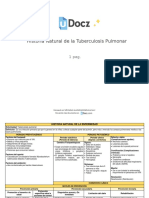 Historia Natural de La Tuberculosis Pulmonar 108986 Downloable