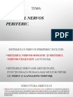Tema:: Sistemul Nervos Periferic