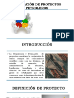 Texto 1 - Conceptos y Deficiones Proyectos Petroleros