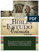 Ilide - Info Biblia de Estudo Colorida Nvi PR