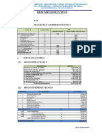 Resumen Ejecutivo