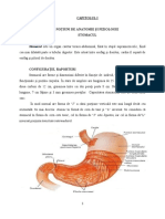 Cabiniuc Alina Ulcerul Gastric
