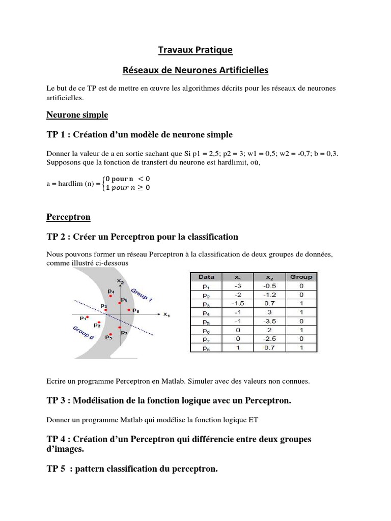 Travaux Pratiques sur Réseaux de Neurones | PDF