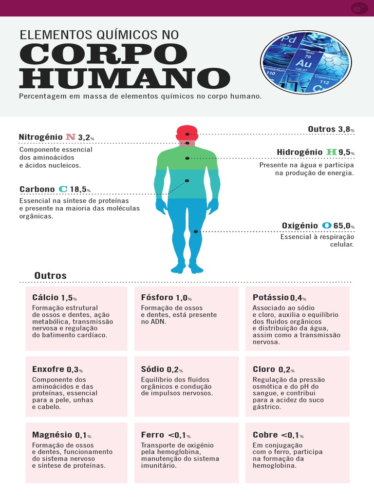 Elementos Químicos No Corpo Humano PDF