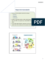 2019 Biosintesis de RNA FINAL BM Bioq parte II