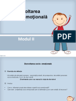 Consiliere- Modul II- DSE