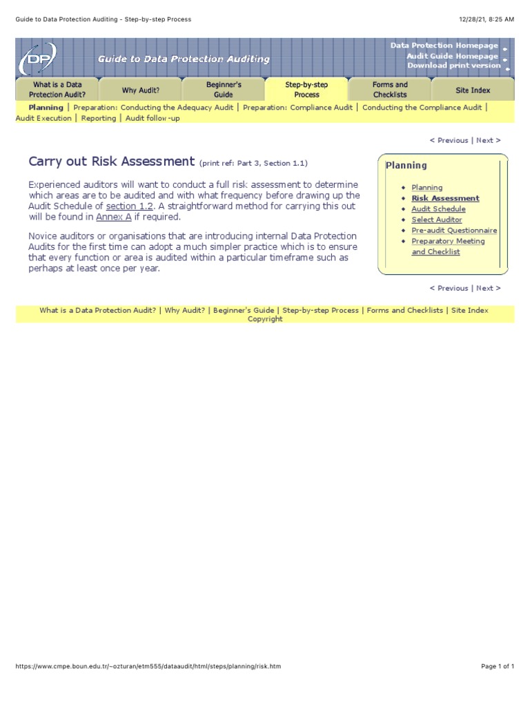 Guide To Data Protection Auditing - Step-By-step Process - Risk | PDF