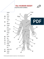 24b-wordbank-humanbody