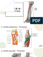 ARTERIA CUBITAL Presentación