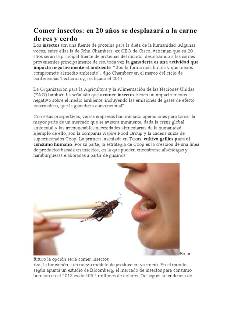 Comer Insectos | PDF | Alimentos | Carne