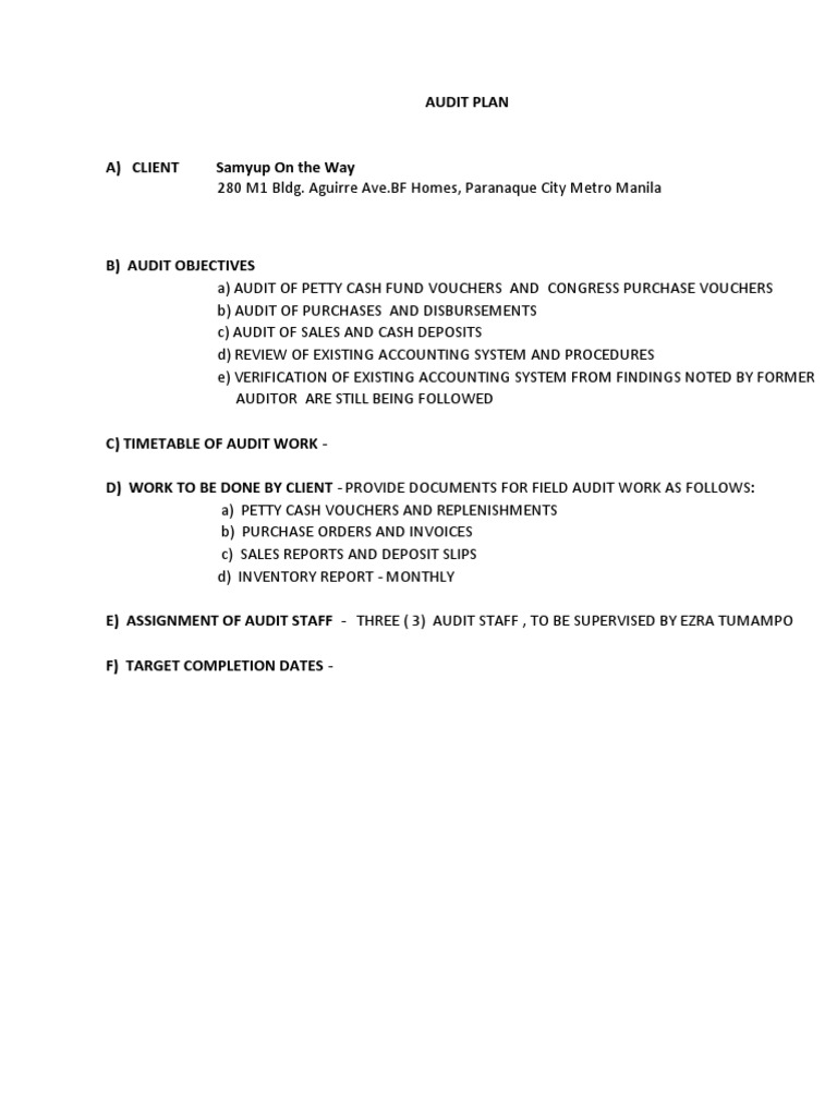 Audit Plan vs. Program Overview | PDF | Audit | Receipt