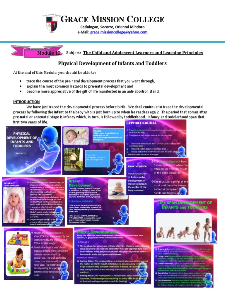 Physical Development of Infants & Toddlers | PDF | Toddler | Family