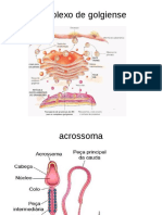 biologia