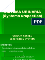 Sistem Uropoetika PDF