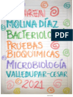 PRUEBAS BIOQUÍMICAS (1)