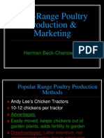 Free Range Poultry Production From Farm To Consumer